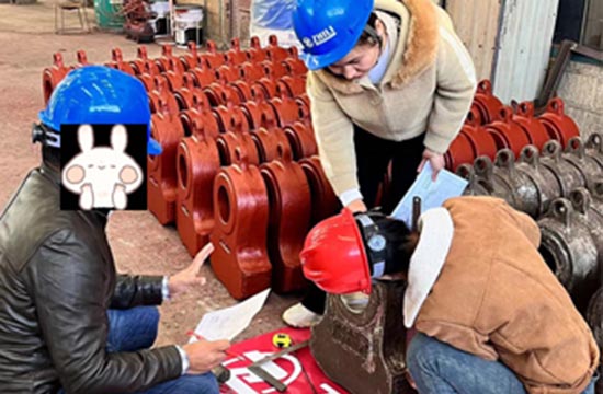 Nhà cung cấp đúc chịu mài mòn-Zhili chào đón khách hàng Pakistan đến kiểm tra và ghé thăm