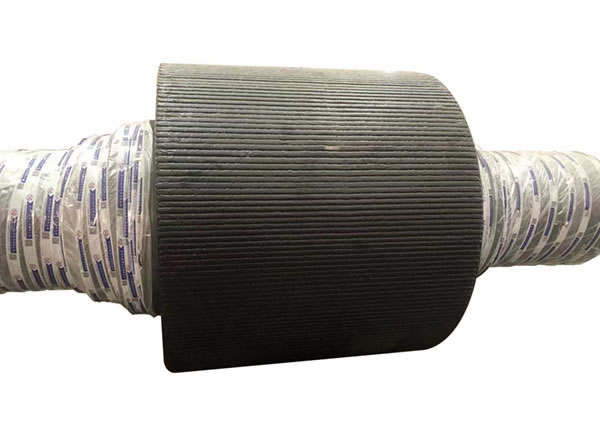 con lăn đùn của máy ép con lăn.jpg